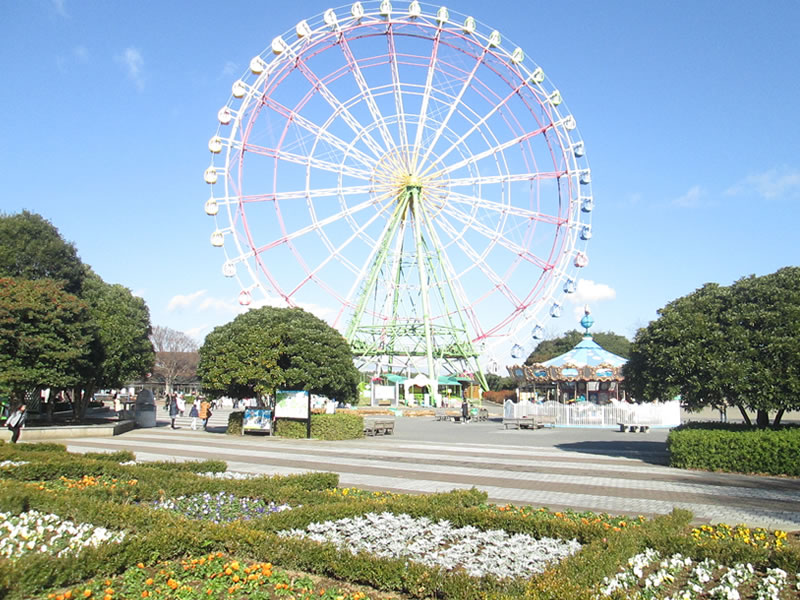 hitachi sea side park Ferris wheel