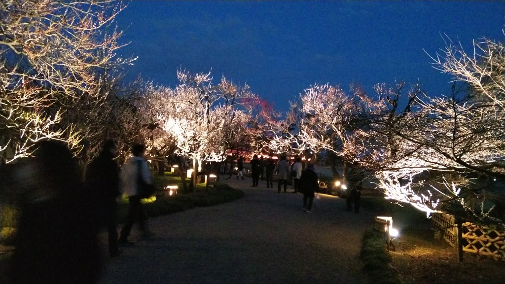 illuminated during garden in Kairakuen