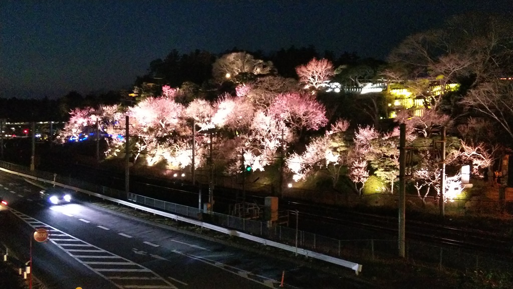 illuminated during garden in Kairakuen