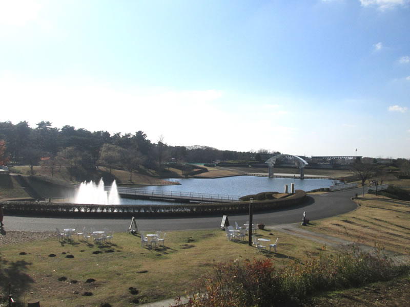 Fountain of west pond