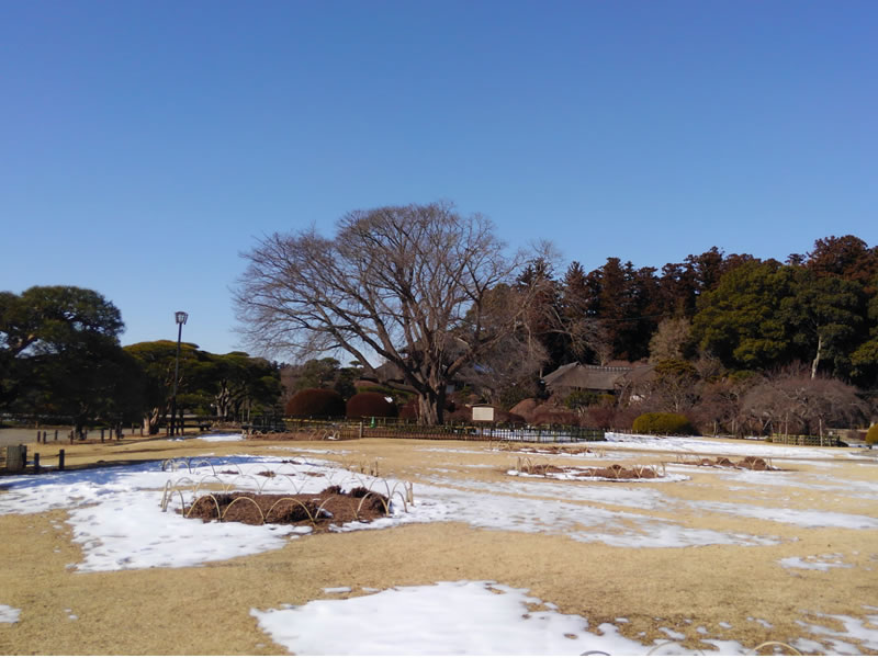 garden in Kairakuen