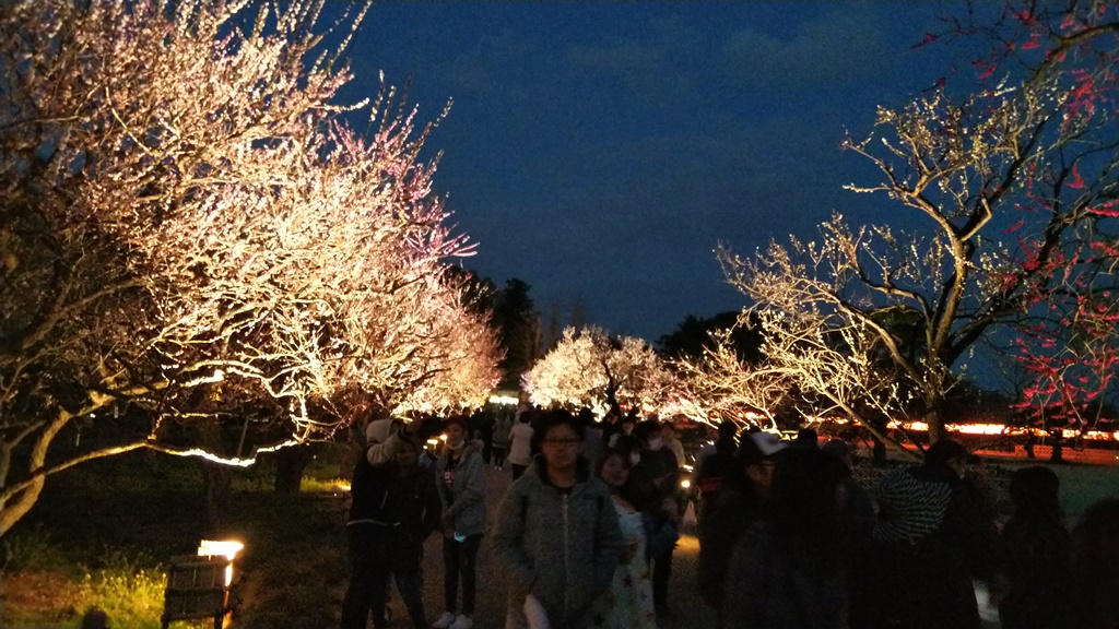 illuminated during garden in Kairakuen