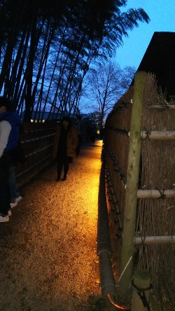 Entrance aisle to plum garden