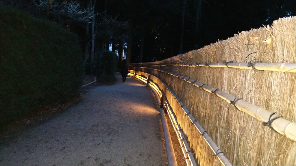 Entrance aisle to plum garden