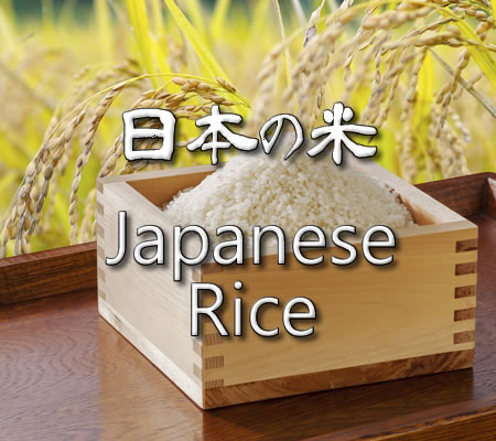 japanese rice gohan