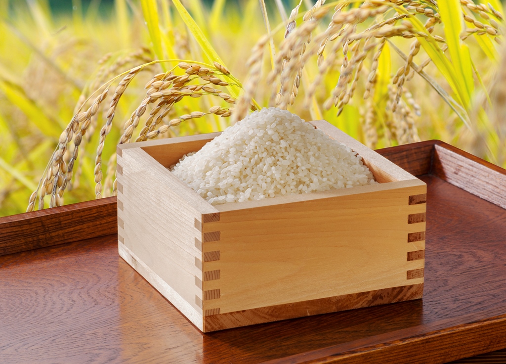 Japanese rice